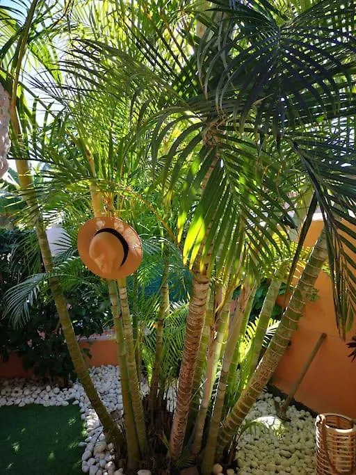 Hébergement de vacances Wohlfuehloase In Maspalomas Maspalomas