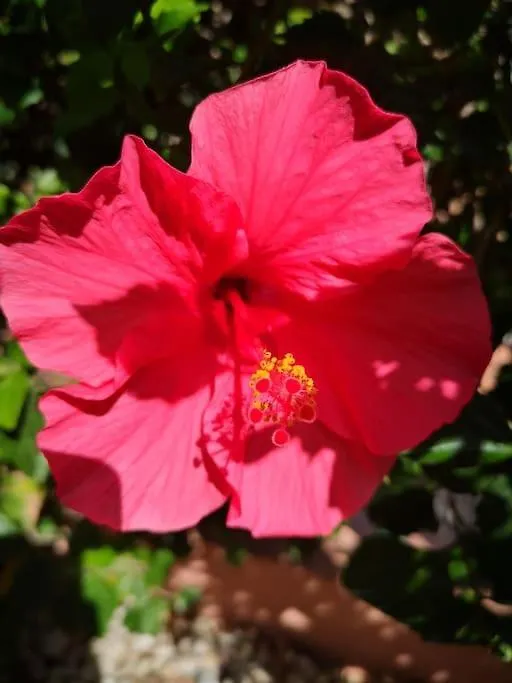 Hébergement de vacances Wohlfuehloase In Maspalomas Maspalomas  Espagne