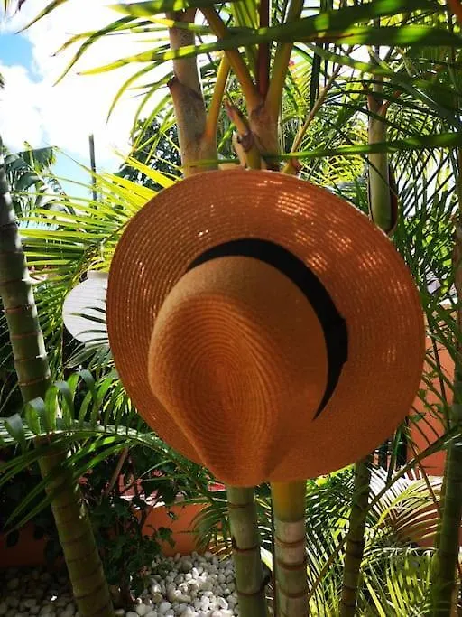 Hébergement de vacances Wohlfuehloase In Maspalomas Maspalomas