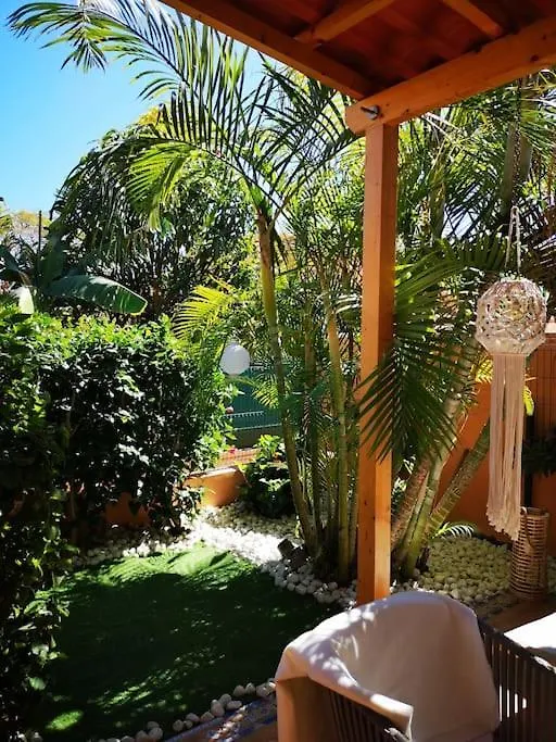 Wohlfuehloase In Maspalomas Maspalomas  Hébergement de vacances Maspalomas (Gran Canaria)