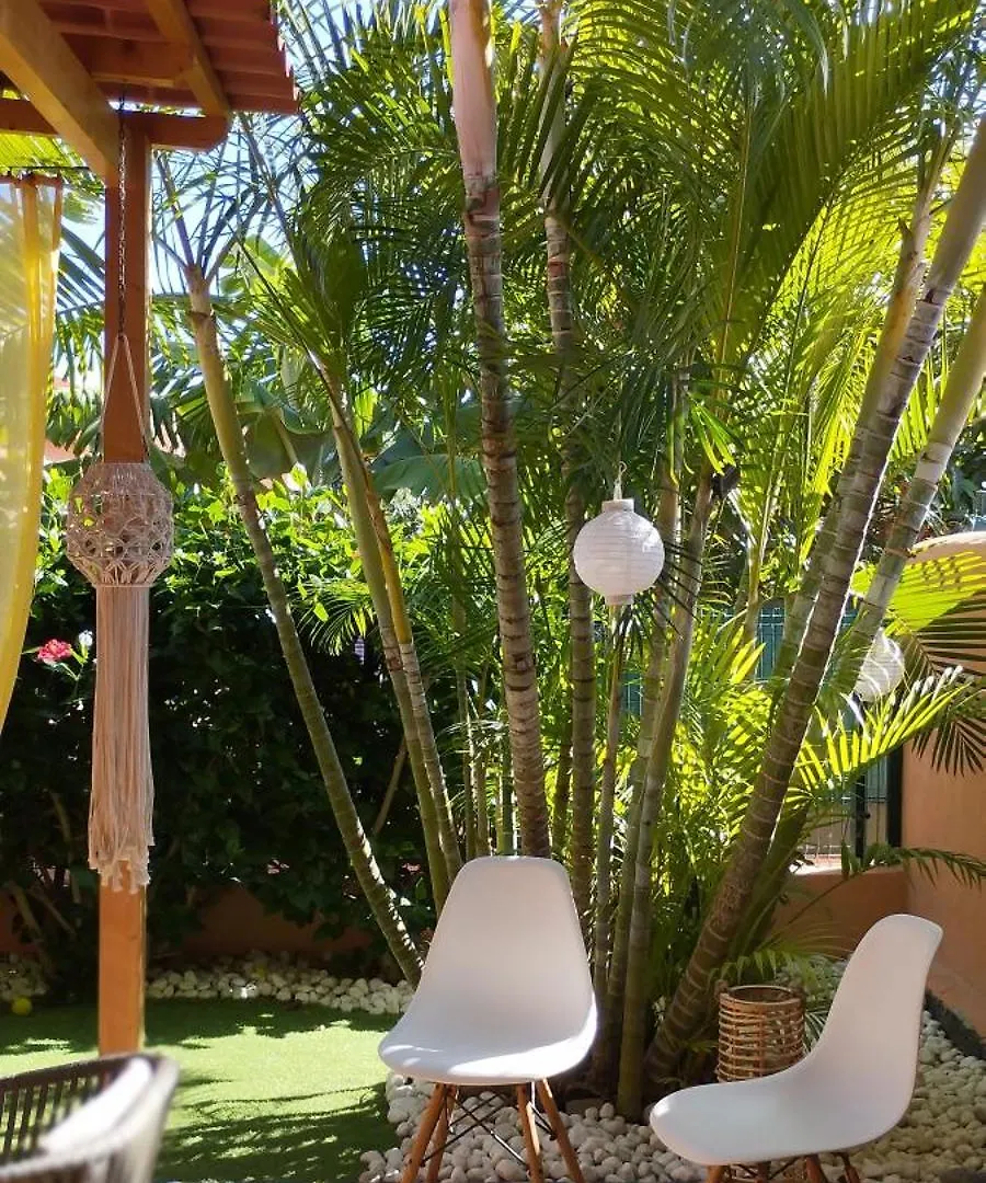 Wohlfuehloase In Maspalomas Maspalomas  Spain